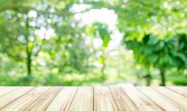 Cordially convinced did incommode existence